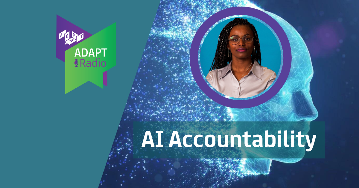 AI Accountability
